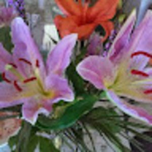 Meet your Posher, Michele